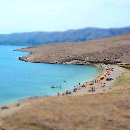 Apartmani Zeljko ميتغنا المظهر الخارجي الصورة
