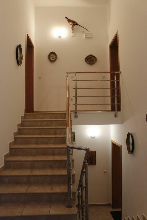 Apartmani Zeljko ميتغنا المظهر الخارجي الصورة